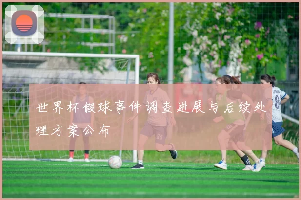 世界杯假球事件调查进展与后续处理方案公布