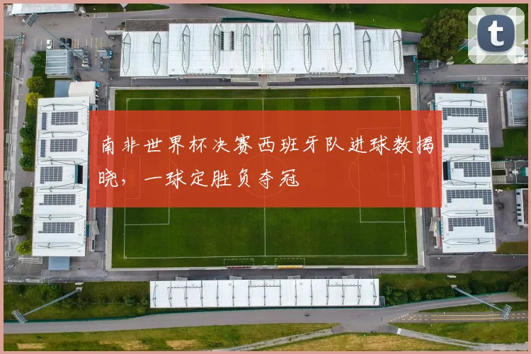 南非世界杯决赛西班牙队进球数揭晓，一球定胜负夺冠